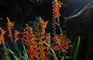 Serene Country House (near Ancient Tiryns) - Foto 37