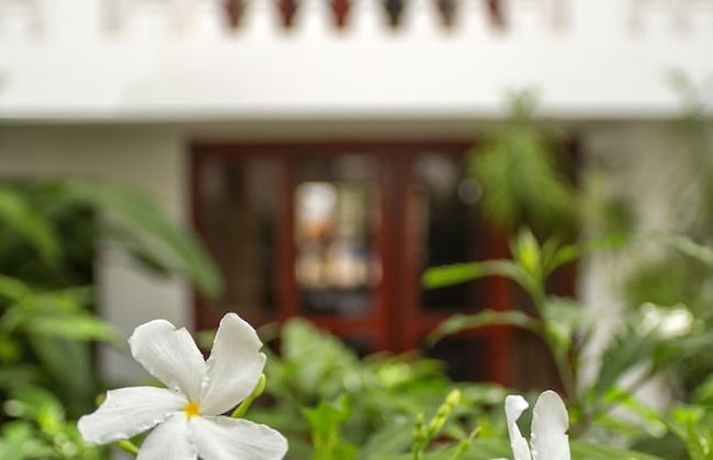 La Paloma Blanca by Lost Beach - Foto 41