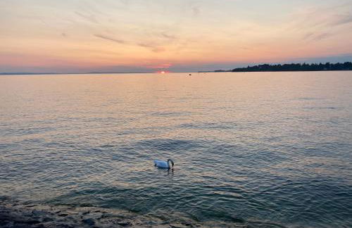 Ferienwohnung König - Foto 31