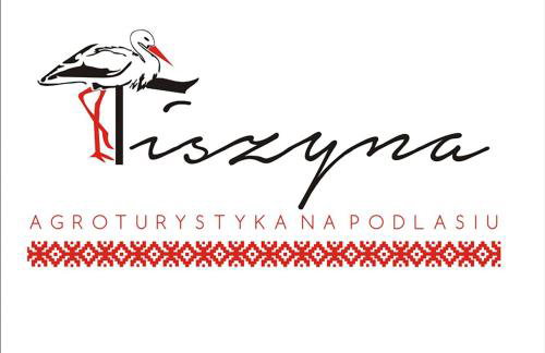 Dom na Starym Gościńcu Tiszyna - Foto 11