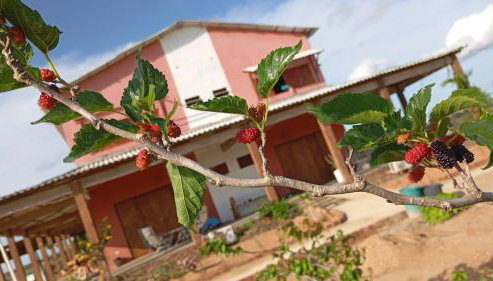 Fazenda Terra Bonita - Foto 4