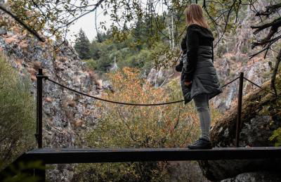 Dona Irene AL - Foto 56