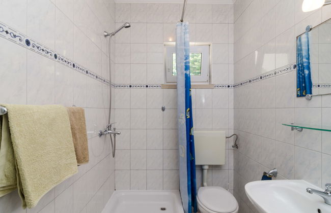 Plavac Mali - Photo 13