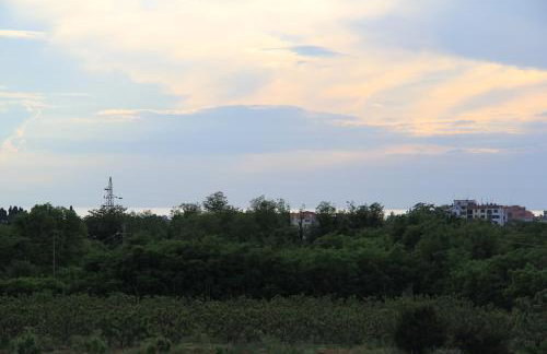 Apartments Jasna - Photo 35