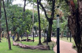 Rosarinho Premium Flat - Conforto extremo - Foto 31