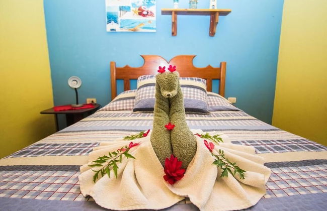 Pura Natura Lodge - Foto 17