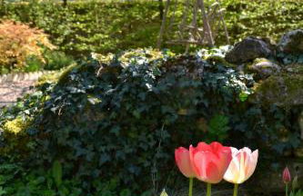 Gîte authentique près Zoo de Beauval et Châteaux - Photo 28