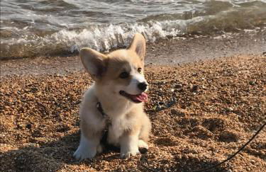 Norburton Hall Cottages - Photo 21