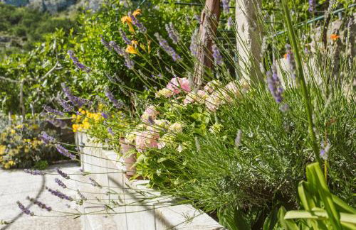 Apartment Kuzmanić - Foto 20