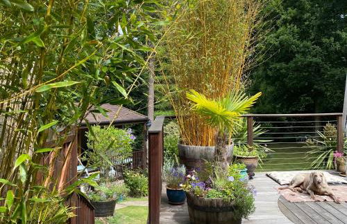 The Cabin, Roundabout Lane - Foto 34