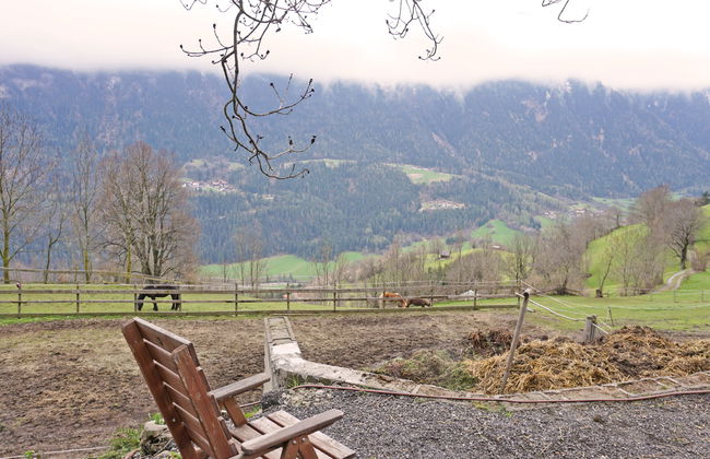 Ferienwohnung Plattner - Foto 61