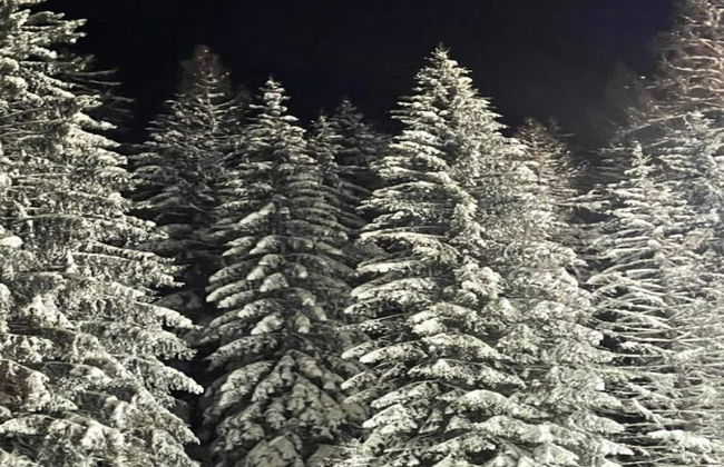 Wohnung mit Balkon und Toller Aussicht - Foto 32