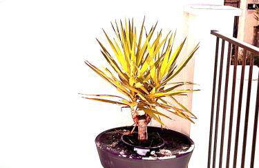 Le Cabanon Meublé de Tourisme trois étoiles - Foto 21