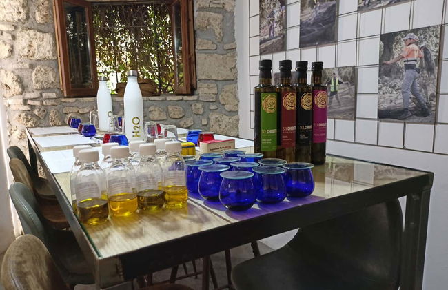 Cazorla Olive Oil Tasting - Photo 4
