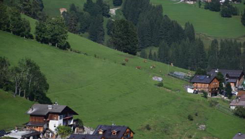 Cesa Fossal - Foto 5