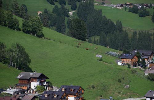 Cesa Fossal - Foto 5