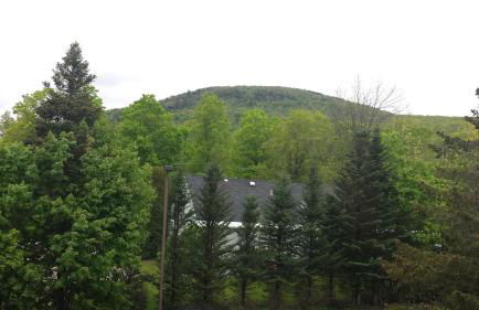 Nordic Condo - Photo 34