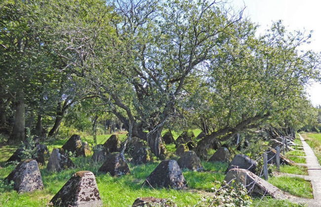 Muller Comfortable Holiday Residence - Foto 10