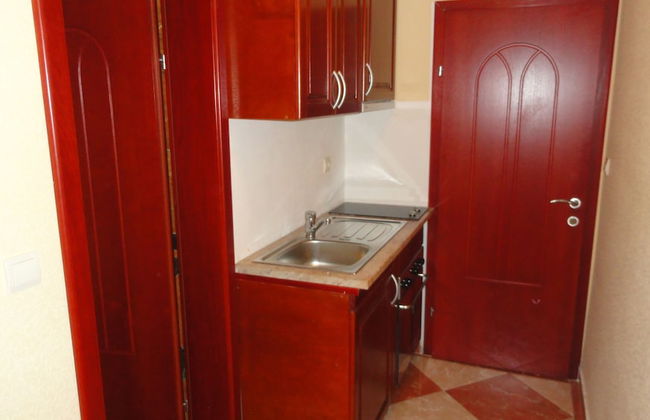 Apartment Pucurica II - Foto 8