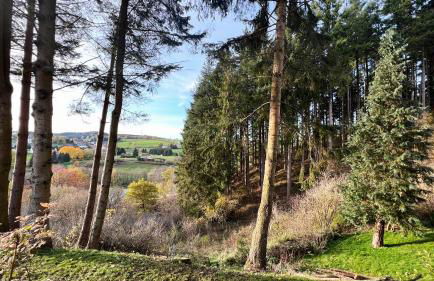 Design Chalet Vulkaneifel - Foto 38