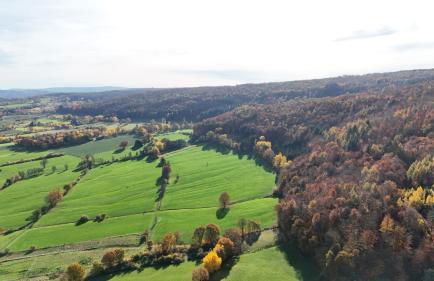 Ferienhaus Kruko - Foto 39