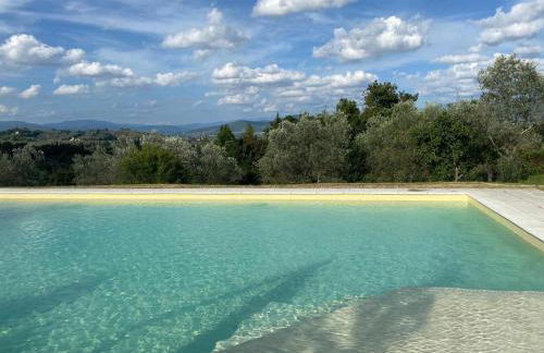 Apartments Florence - Villa La Medicea with swimming pool - Foto 23