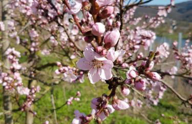 Ferienhaus Moritz - Foto 16