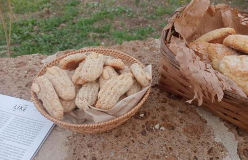 Tratturo dei Greci, biocasa vacanza - Foto 16