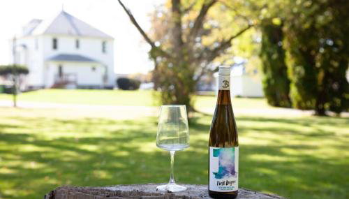 The Homestead Historic Charm & Big Backyard - Foto 3