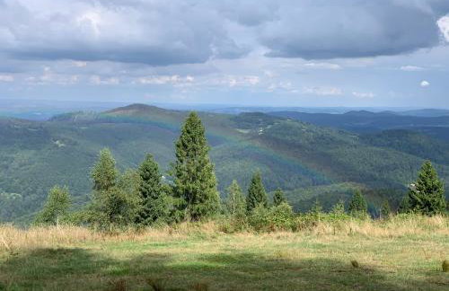 Kurort Kozubnik Apartament 12 - Foto 32