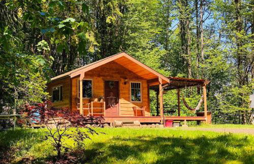 Craftsman Cabin with Columbia River views - Foto 1