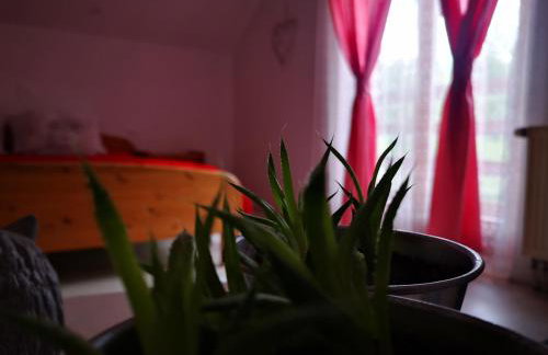 PLITVICE MAGIC - Foto 21