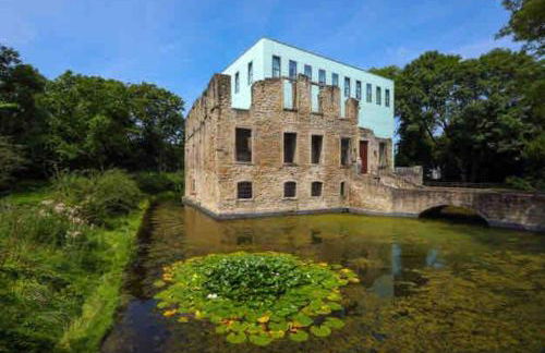 Suburban Jungle - Foto 59