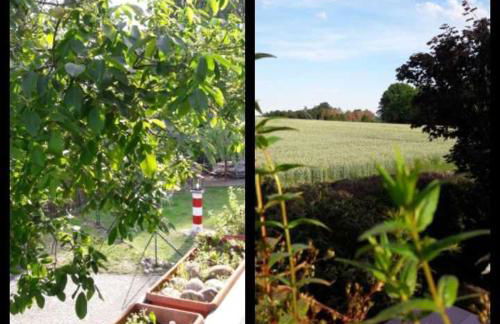 Ferienwohnung "Haus 25" - Zum Golfplatz Tecklenburger Land - Foto 6