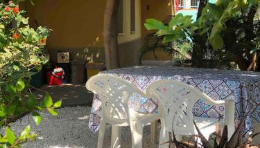 Under the Lemon Tree - Foto 2, Garden, Garden view