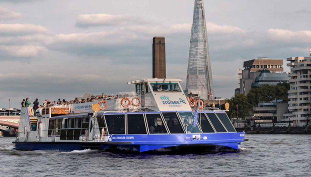 Total London Full Day Guided Tour - Photo 5