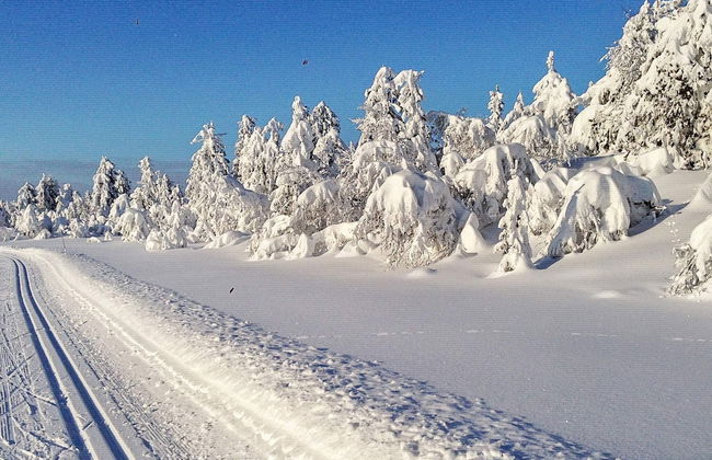 Holiday Home in Svingvoll - Foto 16