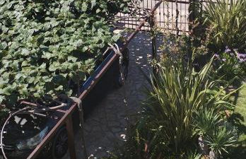 Apartment Marijana - Photo 8