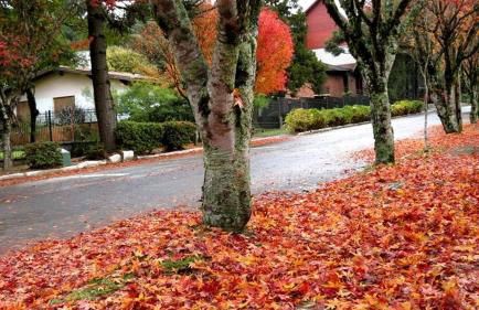 Apartamento Família Sirangelo - Foto 22