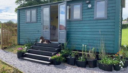 Shepherds Hut With Hot Tub, North Wales, Anglesey - Foto 5