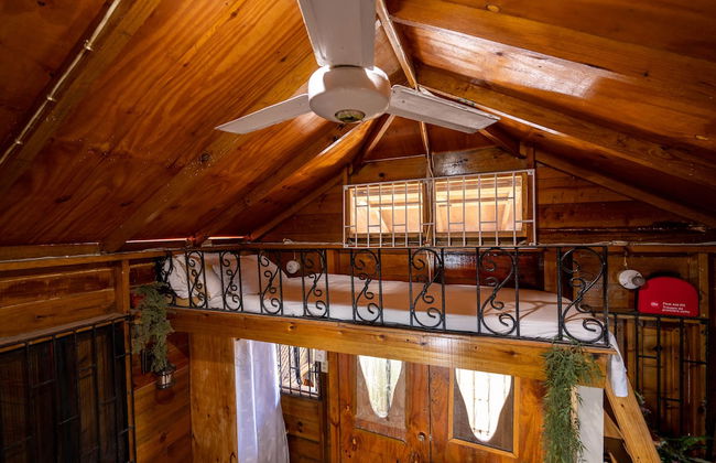 Ocean Sunset Oasis-West End Negril - Foto 12