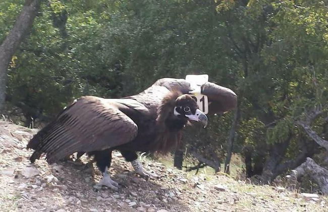 Hotel La Strada - Foto 30