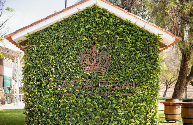 Tour por las bodegas del valle de la Concepción - Foto 4