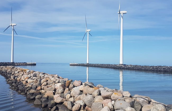 "Golubinka" - 500m from the sea - Foto 7