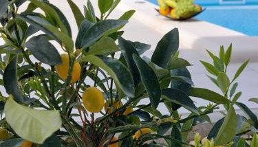 Holiday house Miki - Foto 2