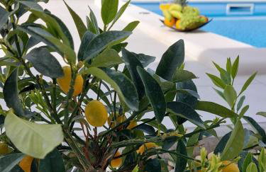 Holiday house Miki - Foto 2