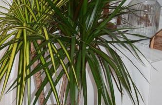 Cozy atmosphere 4pers near Eurexpo GroupamaStadium - Foto 43