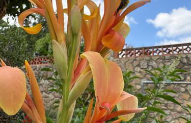 Costa Brava Paradís - Foto 41