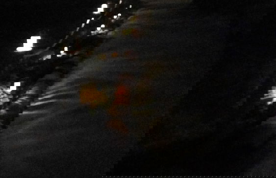 Visitar Bioucas II - Casa Tradicional Portuguesa - Foto 32