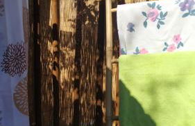 Casa vacanze villa Lido- Pangrazi Alessandra - Foto 8